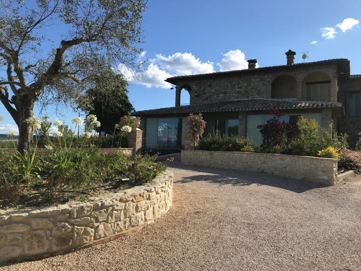 Agriturismo Fattoria Di Monticello San Venanzo Eksteriør billede