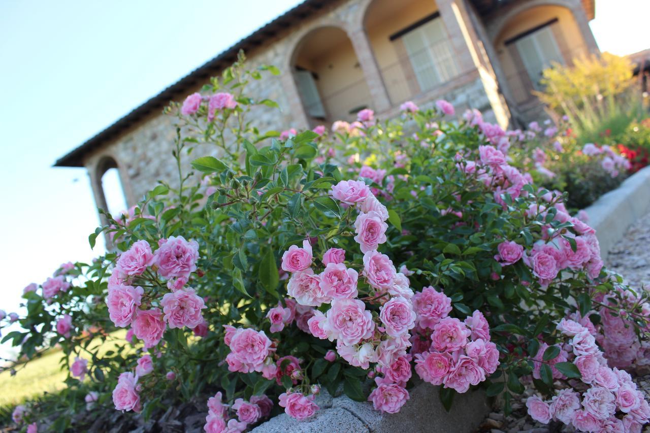 Agriturismo Fattoria Di Monticello San Venanzo Eksteriør billede