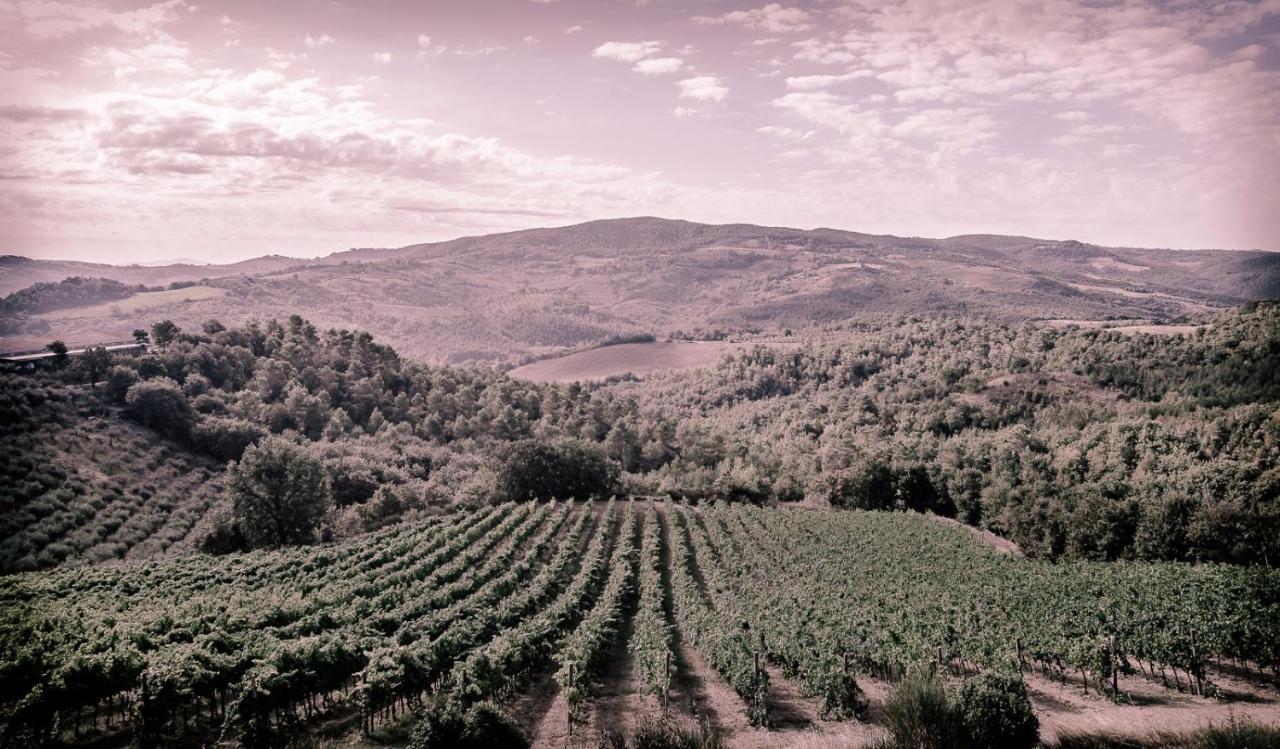 Agriturismo Fattoria Di Monticello San Venanzo Eksteriør billede